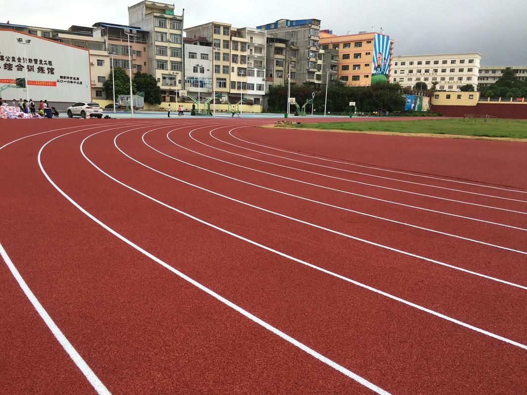 湘潭市人造草坪塑胶跑道材料 - 厂家